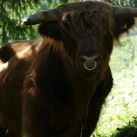 Auszeit -gipfhof- Apartamento