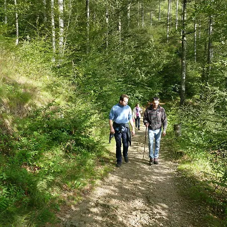 Apartamento Auszeit -gipfhof-