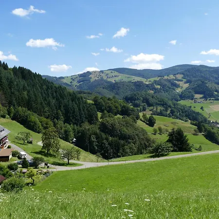Apartman Auszeit -gipfhof- Obermünstertal