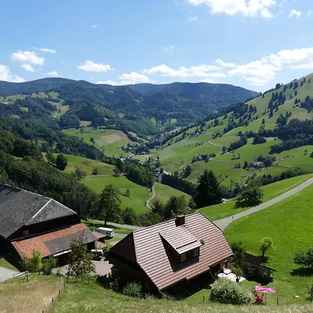 Auszeit -gipfhof- Apartamento Münstertal