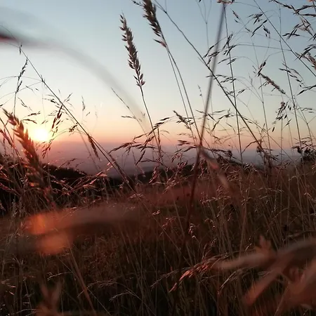 Apartamento Auszeit -gipfhof- *