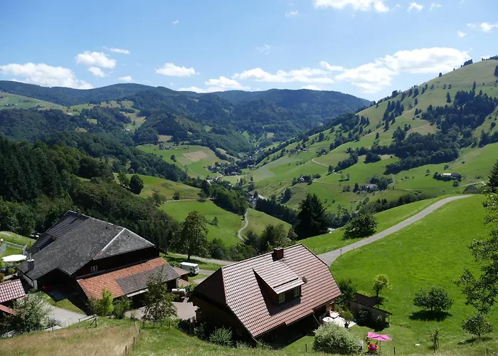 Auszeit -gipfhof- דירה Münstertal