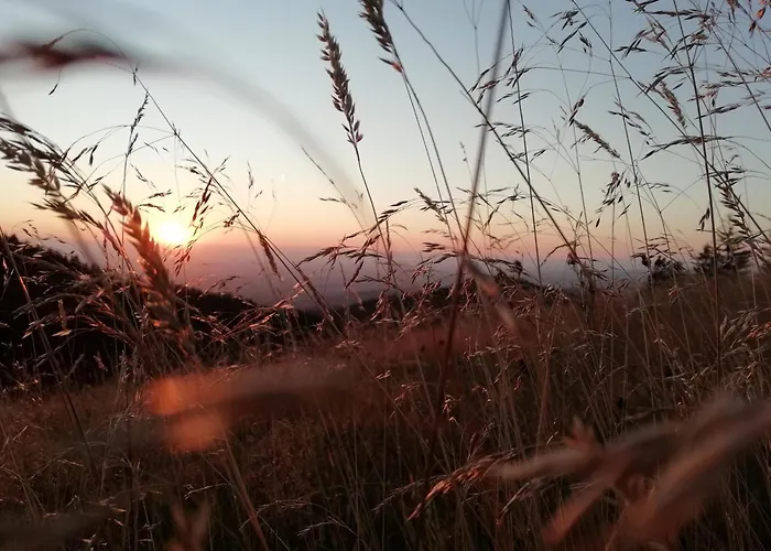 דירה Auszeit -gipfhof- *